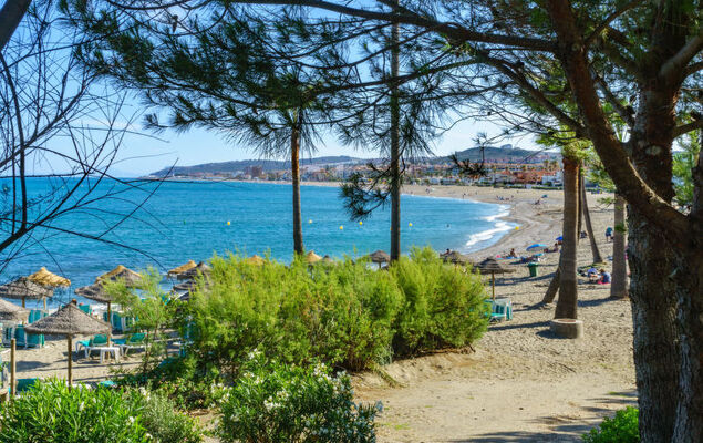 Small Oasis Manilva - Photo 33