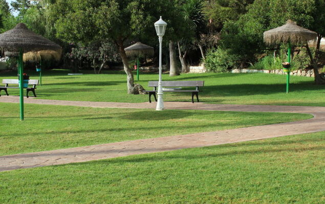 Torrealmadena - Photo 14