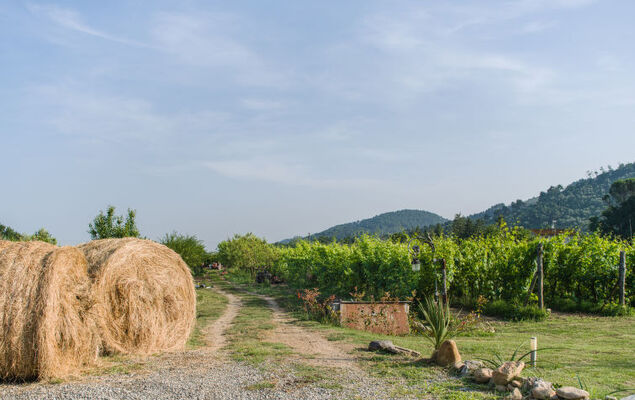 I Sei Filari - Photo 23