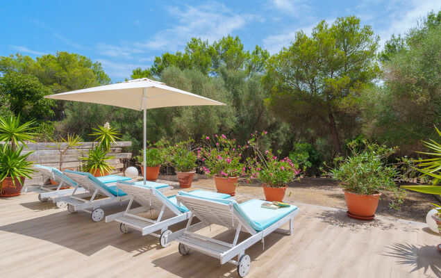 Finca Son Baulo - Photo 30