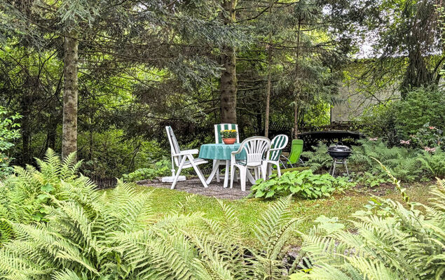 Altes Forsthaus Sösetal - Photo 21