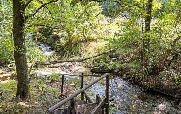 Altes Forsthaus Sösetal - Photo 26