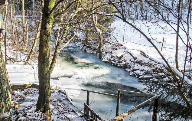 Altes Forsthaus Sösetal - Photo 30