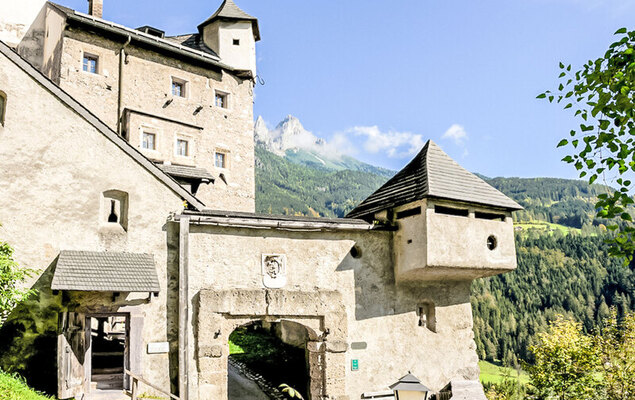 Edelweiss - Photo 18