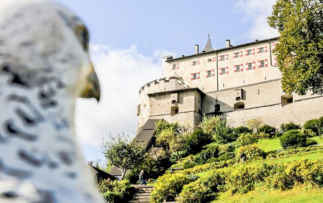 Edelweiss - Photo 20