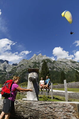 Edelweiss - Photo 33