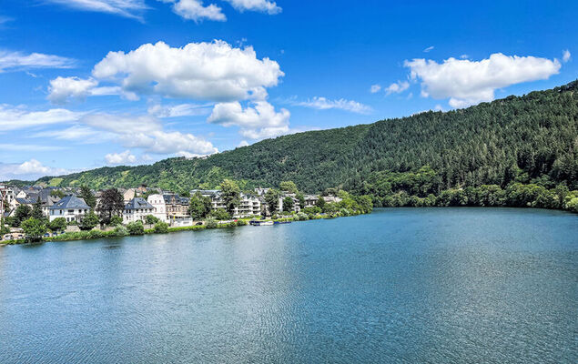 Moselhäuschen - Photo 23