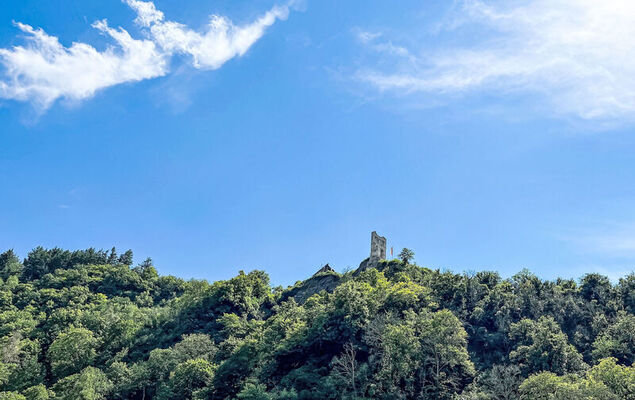 Moselhäuschen - Photo 25