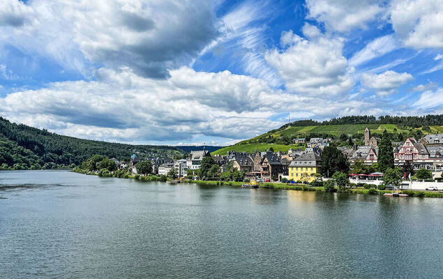 Moselhäuschen - Photo 27