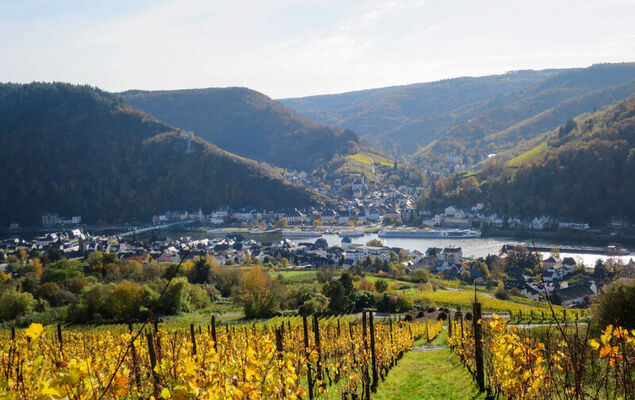 Moselhäuschen - Photo 36